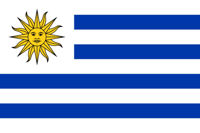Imagen de Bandera común 60x90cm, URUGUAY