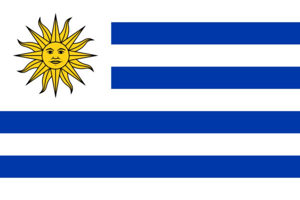 Imagen de Bandera común 60x90cm, URUGUAY