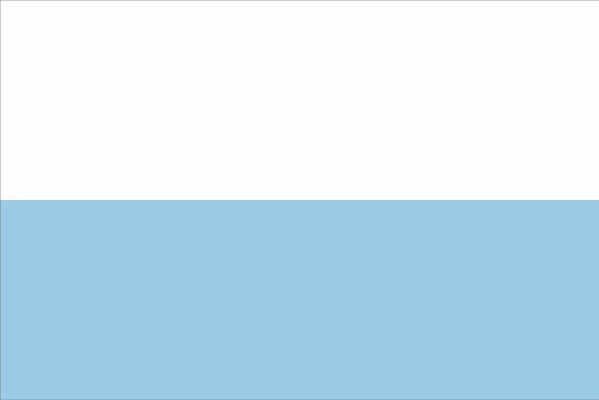 Imagen de Bandera común grande