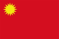 Imagen de Bandera común grande
