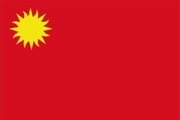 Imagen de Bandera común grande