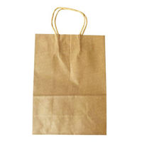 Imagen de Bolsa de papel con asa, grande, PACK x12