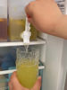 Imagen de Dispensador contenedor de plástico para líquidos con canilla