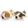 Imagen de Peluche perro, varios colores