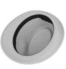 Imagen de Sombrero caballero, de poliéster, color gris