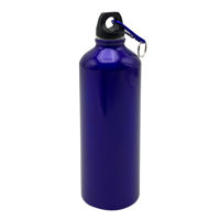 Imagen de Botella deportiva de aluminio, con gancho mosquetón, 750ml, varios colores