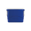 Imagen de Conservadora térmica SOPRANO TROPICAL 50L AZUL