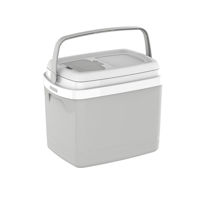 Imagen de Conservadora térmica SOPRANO TROPICAL 32L GRIS