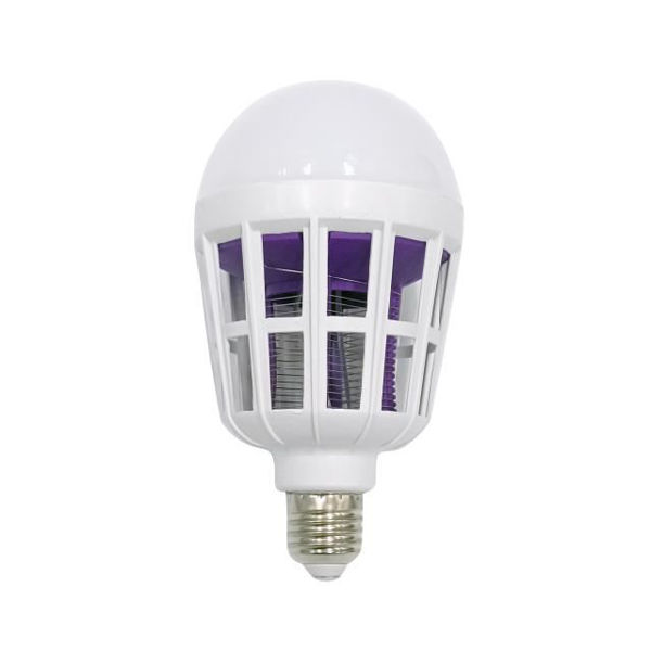 sisvendfotoshe1551jpg