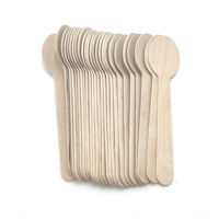 Imagen de Descartable, cuchara de madera, bolsa x25