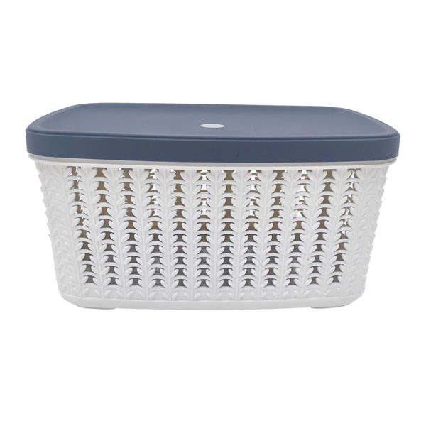 Imagen de Caja organizadora de plástico con tapa, varios colores de tapa
