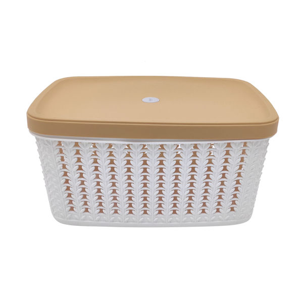 Imagen de Caja organizadora de plástico con tapa, varios colores de tapa
