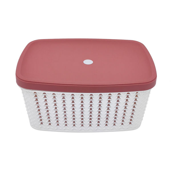Imagen de Caja organizadora de plástico con tapa, varios colores de tapa