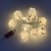 Imagen de Guirnalda 10 luces LED calaveras 2AA, en bolsa