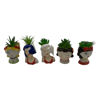 Imagen de Planta cactus suculenta, varios diseños