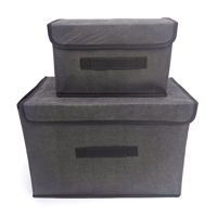 Imagen de Caja organizadora de TNT x2, plegables con cierre de velcro, en bolsa