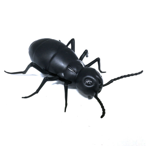 Imagen de Insecto con movimiento, infrarrojo, en caja