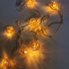 Imagen de Luces led x10, bolas, 220v en caja de PVC