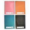 Imagen de Cuaderno de 48 hojas rayado con espiral, Sote PACK x6
