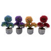 Imagen de Planta bonsai bayas en maceta, varios colores