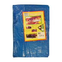 Imagen de Lona para toldo cubretodo impermeable 3x4m, con ojales