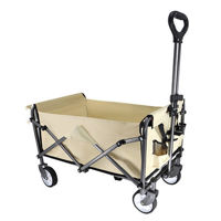 Imagen de Carro multiuso plegable, en caja