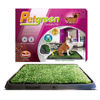 Imagen de Bandeja sanitaria para mascota con pasto artificial, en caja FURACAO