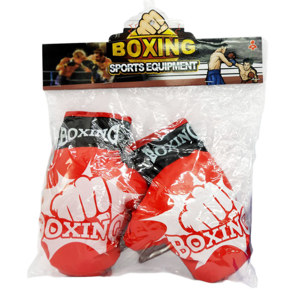 Imagen de Guantes de boxeo, en bolsa
