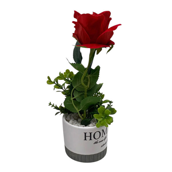 Imagen de Planta con flor rosa en maceta, varios colores