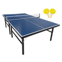 Mesa de ping pong profesional