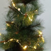 Imagen de Luces LED x50 luciérnagas de alambre, 3AA, en caja PACK x10