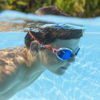 Imagen de Lentes para natación Bestway, en blister, varios colores