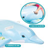 Imagen de Inflable flotador,  delfín con agarres, INTEX en caja
