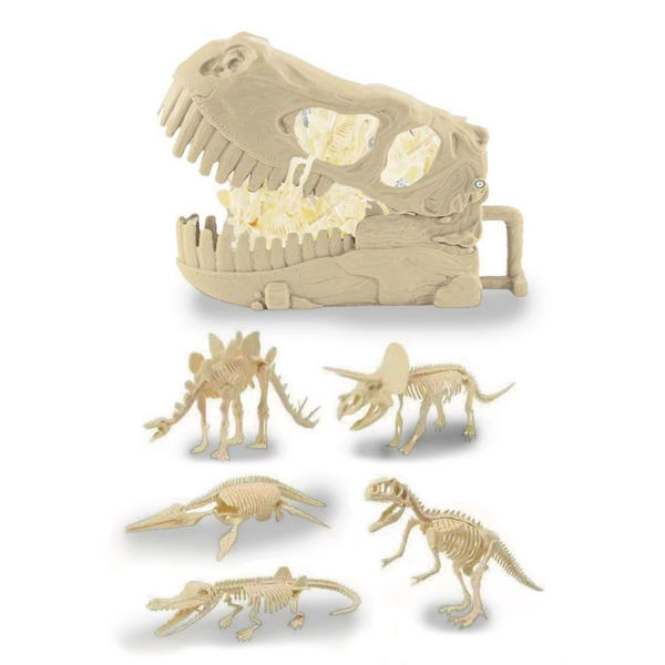 Imagen de Dinosaurio fósiles, valija cráneo, en caja 2 colores
