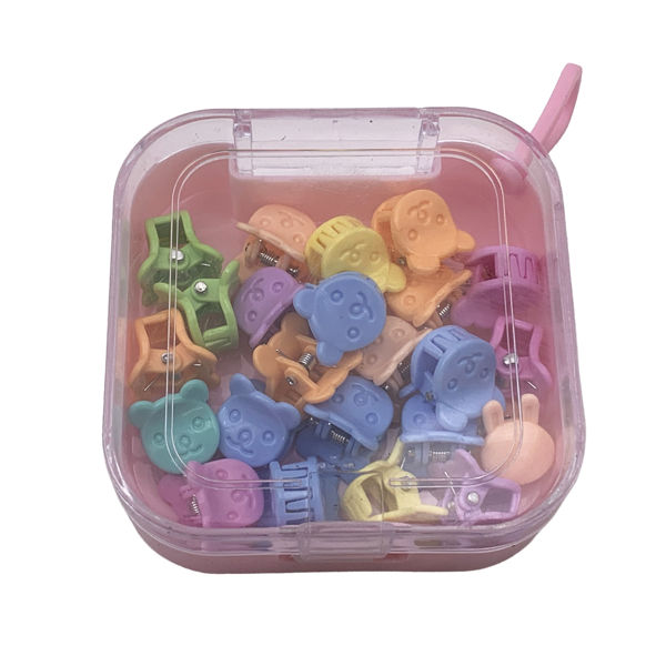 Imagen de Broche para pelo, mini, x24 en estuche de plástico, PACK x12